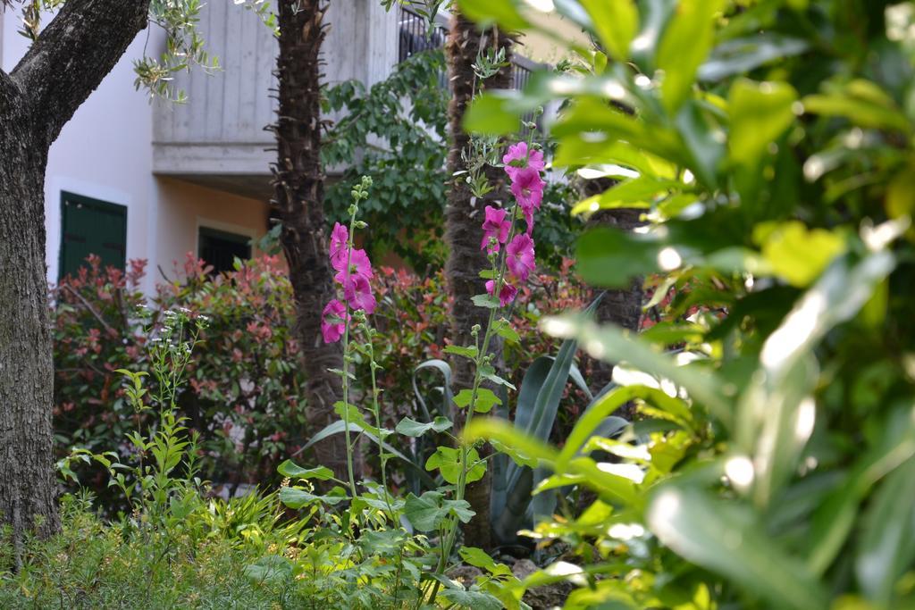 B&B Garda 4U Desenzano del Garda Exteriör bild